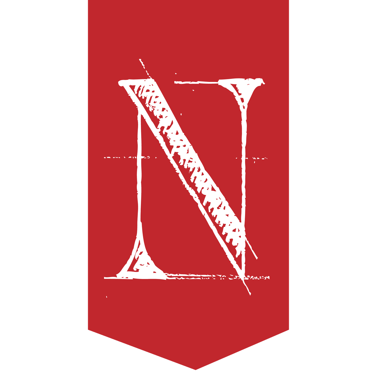 Logo Nanda Pertile
